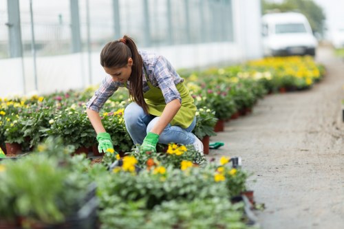 Gardening service terms and conditions introduction