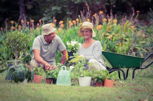 Healthy landscaped trees maintained through tree surgery in Edmonton