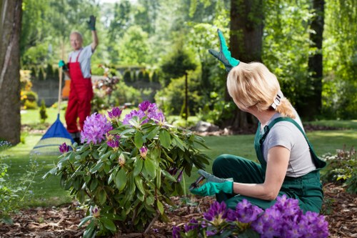 Landscape cleanup pricing for a residential Edmonton yard