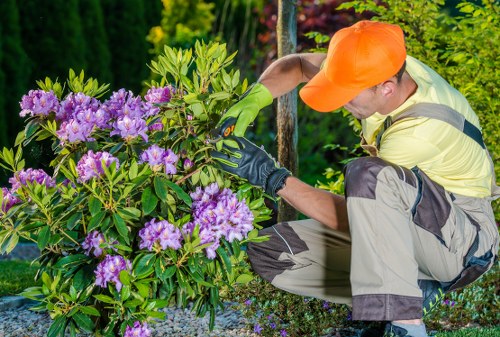 Low-carbon van used for sustainable garden services