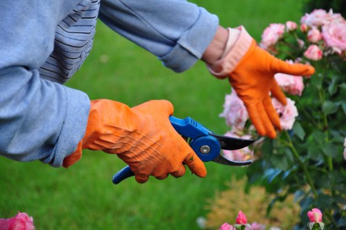 Residential gardening services in Edmonton enhancing curb appeal with mulch and flowers