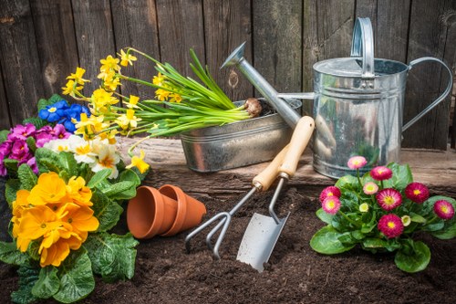Fall lawn preparation and fertilization for Edmonton grass