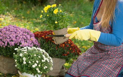 Training and awareness in Edmonton gardening services