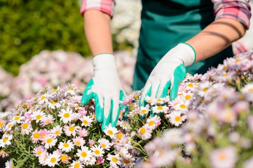 Updated Cookie Policy information for Gardeners Edmonton