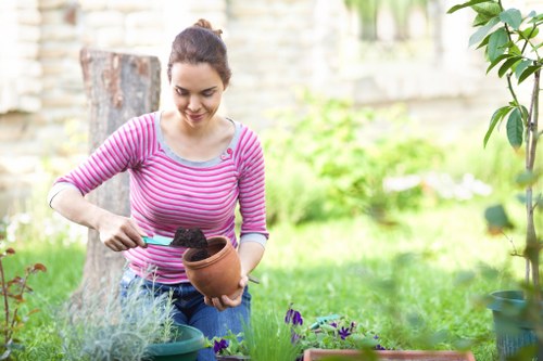 Proper mowing and lawn upkeep for Edmonton properties