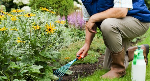 Edmonton garden maintenance with seasonal outdoor care