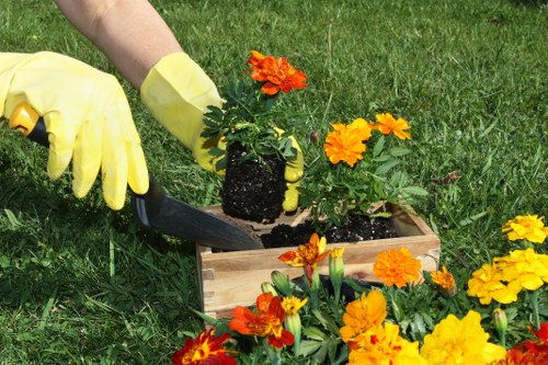Edmonton gardener improving a vibrant flower bed