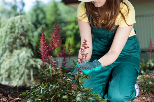 Seasonal garden waste removal and outdoor cleanup in Edmonton