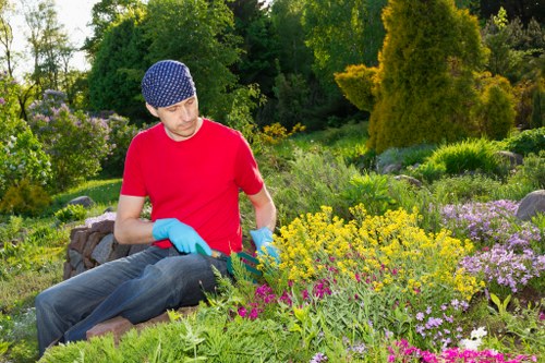Professional gardener enhancing an Edmonton outdoor space