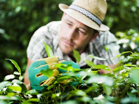 Reusable garden items prepared for charity donation