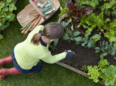 Landscape care in Edmonton with healthy plants and mulch
