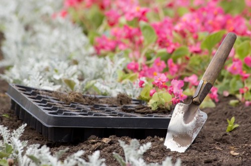 Professional garden clearance improving an Edmonton yard