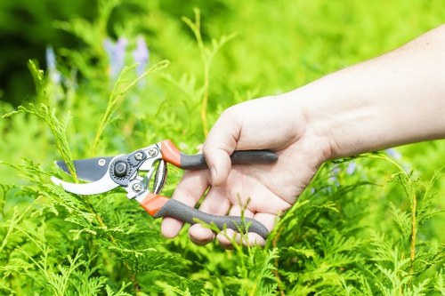 Risk assessment process for Edmonton garden services