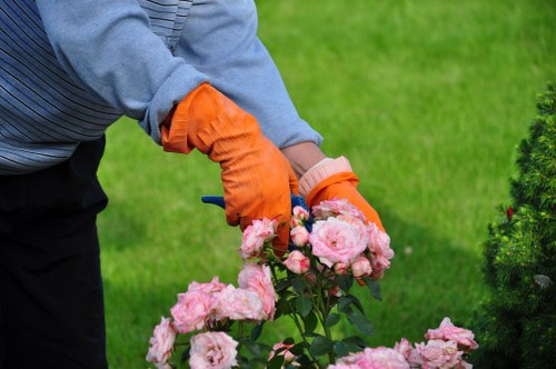 Water-wise landscape gardening in Edmonton with mulch and perennials