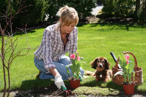 Spring and summer lawn care tasks for Edmonton homeowners