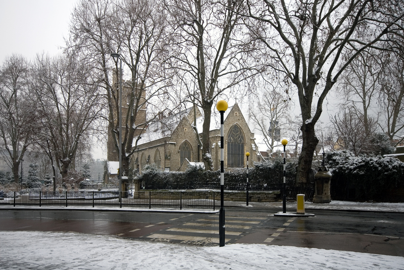 garden trees